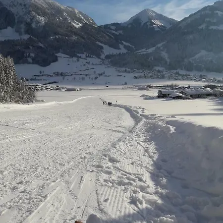 Apartment Haus Waldegg