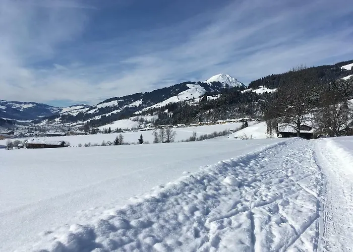 Haus Waldegg Apartment
