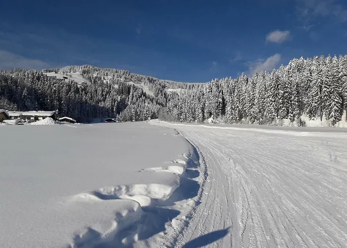 Apartment Haus Waldegg Brixen im Thale